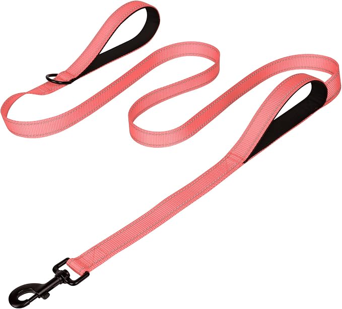 Joytale Dog Leash for Large Dogs that Pull, Double Handle, 6FT, Neon Pink | Traffic Handle for Control, Padded Handle Reduces Hand Strain, Reflective Stitching for Night Safety, Strong Nylon Webbing