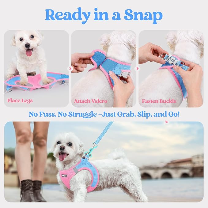 rabbitgoo Dog Harness Small Sized and Leash Set, Step-in Puppy Pet Vest | Light, Soft, Breathable Air Mesh, Easy on and Remove with Hook & Loop, Secure Reflective for Walking, Blue & Light Pink S
