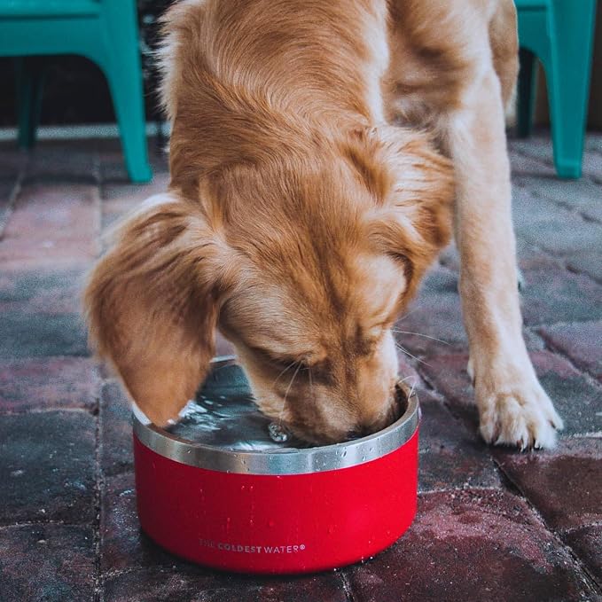 Coldest Dog Bowl - Anti Rust Metal, Non Slip, 3 Layers Insulated Stainless Steel Dog Bowls - Spill Proof & Heavy Duty - Water Bowl for Dogs, Cats & Pets, Dish Washer Safe (100 oz, Stealth Black)