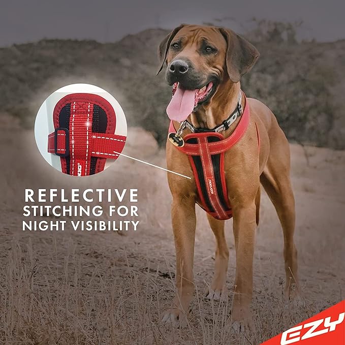 EzyDog Chest Plate No Pull Dog Harness, Escape Proof - Medium, Black | Car Restraint Included, Comfort EVA Padding, Adjustable for All Breeds, Quick Release Buckles, Reflective Stitching