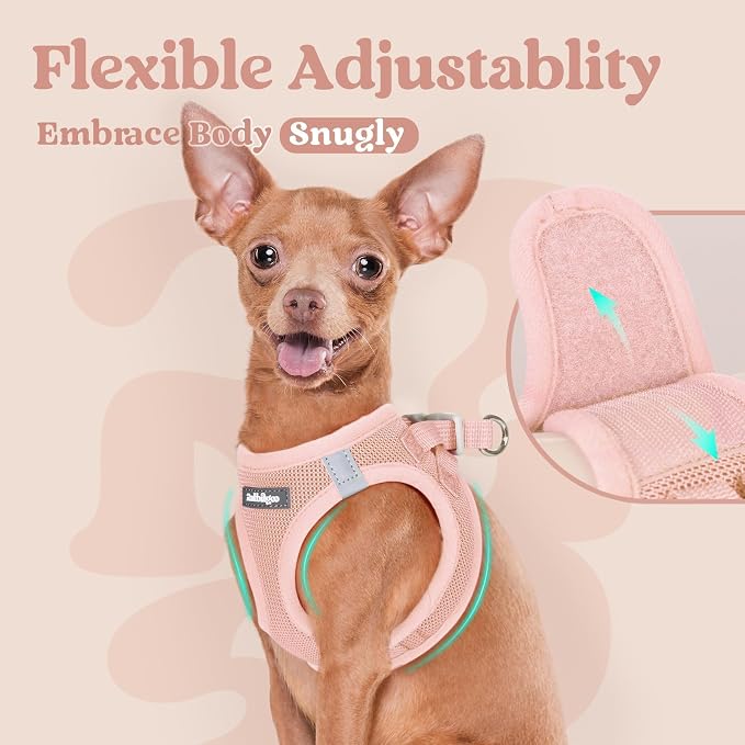 rabbitgoo Step-in Small Dog Harness, Puppy Vest for Small Sized Pet | Easy Put on and off, Lightweight, Soft, Breathable Quick-Dry Air Mesh for Comfortable Secure Walking, Pink M