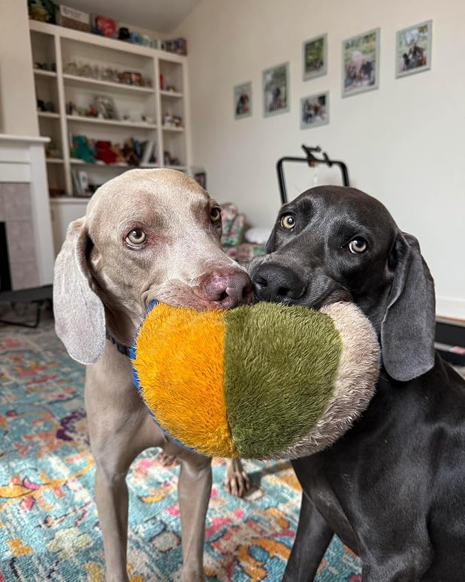 Fluff & Tuff Beach Ball Plush Dog Toy – 2 Pack, 7” Durable Stuffed Ball Toy with Squeaker, Double-Stitched & Reinforced for Interactive Play