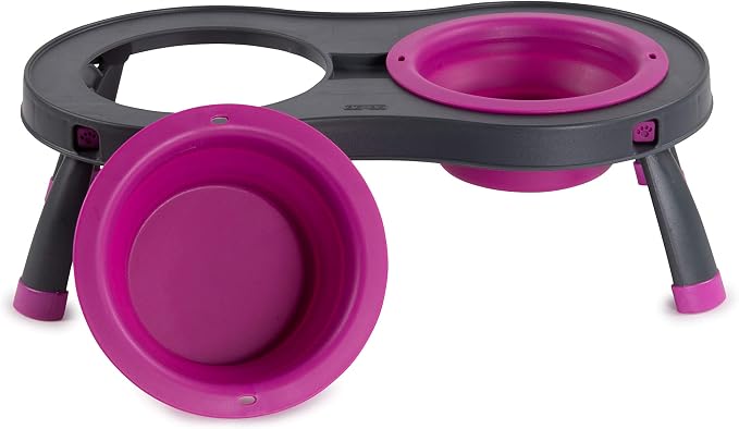 Dexas Pets Double Elevated Pet Feeder, Fuchsia, Small/1 Cup Capacity Bowls (PW1004322405) (Pack of 2)