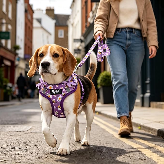 PUPTECK Dog Harness and Leash Set Medium Sized, Step in No Pull Adjustable Puppy Cat Harness Reflective Pet Vest