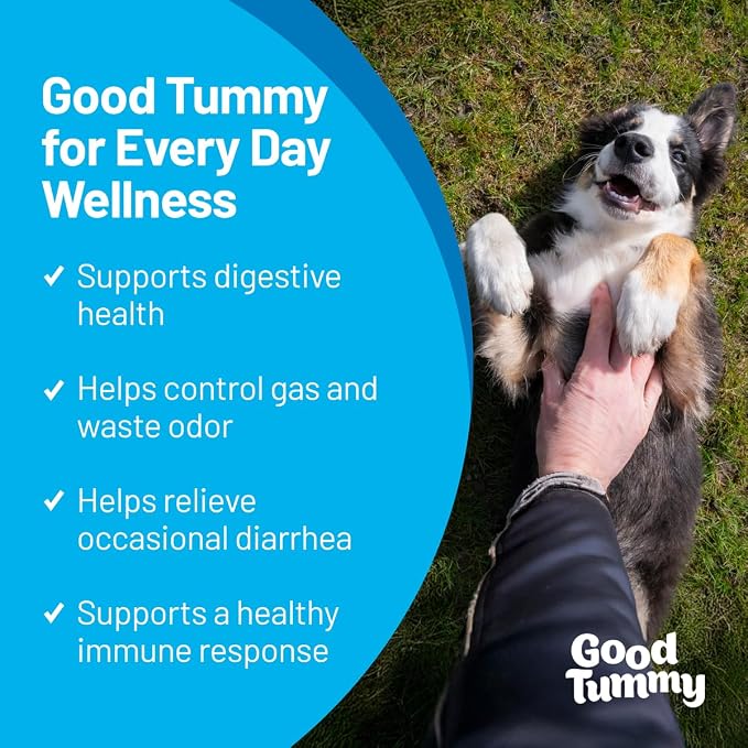 Good Tummy Gut Health Chews for Dogs, Beef Flavor, 60ct