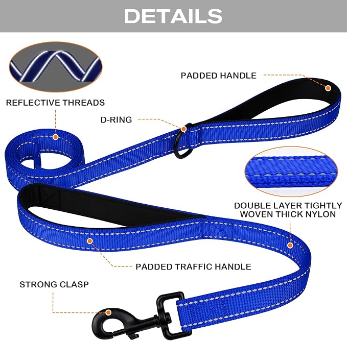 Joytale Dog Leash for Large Dogs that Pull, Double Handle, 5FT, Royal Blue | Traffic Handle for Control, Padded Handle Reduces Hand Strain, Reflective Stitching for Night Safety, Strong Nylon Webbing