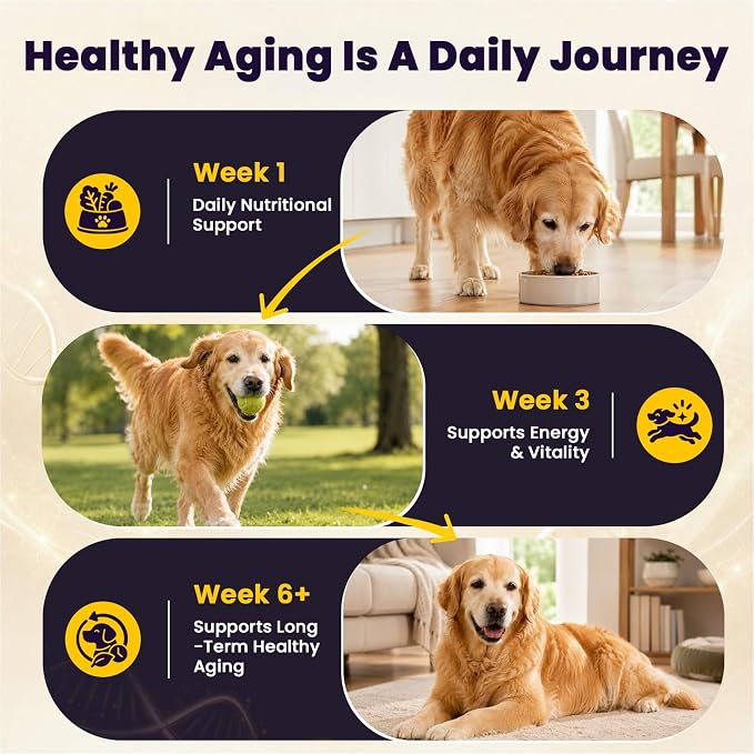 VUN Senior Dog NAD+ Longevity Supplement,NMN Healthy Aging Chews for Dogs