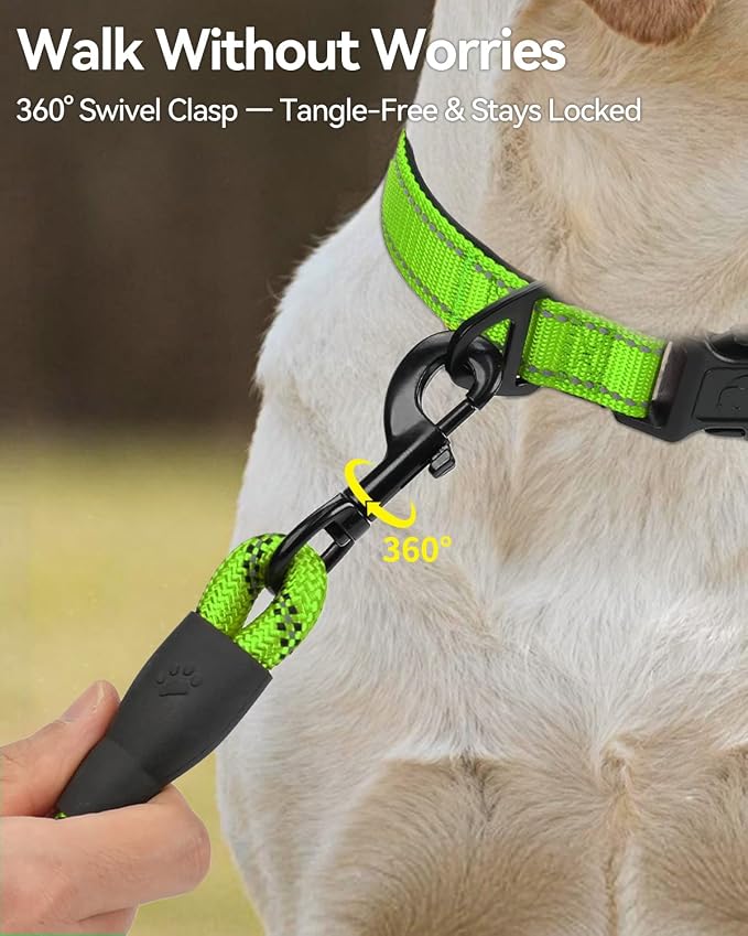 Joytale Rope Dog Leash for Small Dogs, Padded Handle, 6FT, Green | Reinforced Nylon Webbing, Comfort Grip Eases Hand Strain, Swivel Clip Prevents Tangles, Visible at Night, for Outdoor Walks