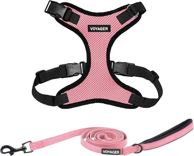 Best Pet Supplies Voyager Step-in Lock Pet Harness w Reflective Pet Leash Combo Set with Neoprene Handle 5ft - Supports Small, Medium and Large Breed Puppies/Cats - Pink/Black Trim, M