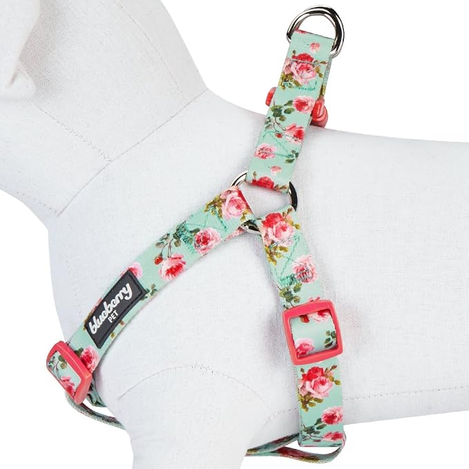 Blueberry Pet 9 Patterns Step-in Spring Scent Inspired Floral Rose Print Turquoise Dog Harness, Chest Girth 16.5" - 21.5", Small, Adjustable Harnesses for Dogs