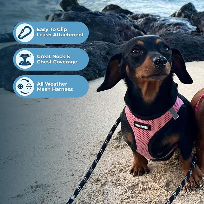 Voyager Step-in Air Dog Vest Harness - Pink/Black Trim, Medium | 16 - 18" in Chest, Reflective Bands, All Weather Breathable Air Mesh, Cats Compatible, Lightweight, Fast Drying