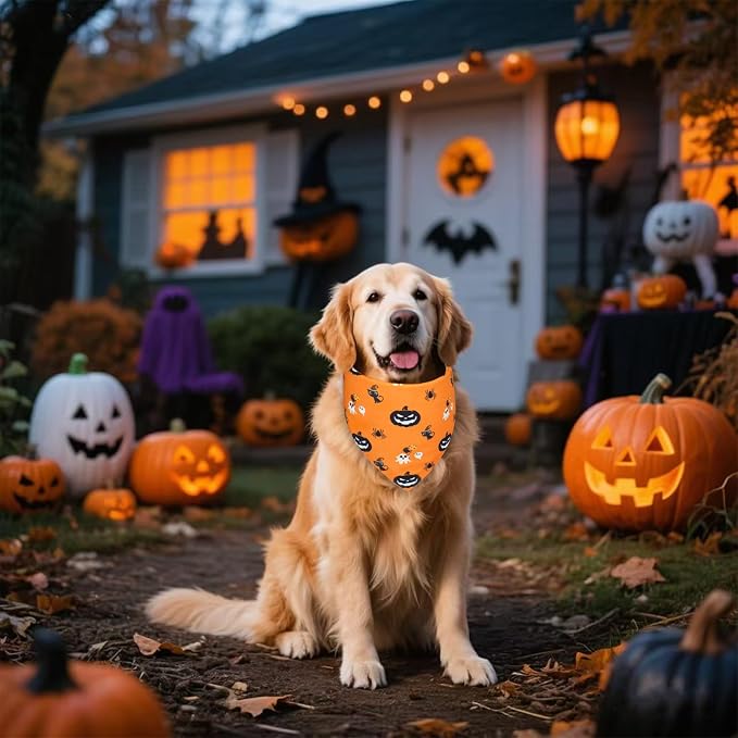 Halloween Dog Bandana for Small Dogs, Small, Orange