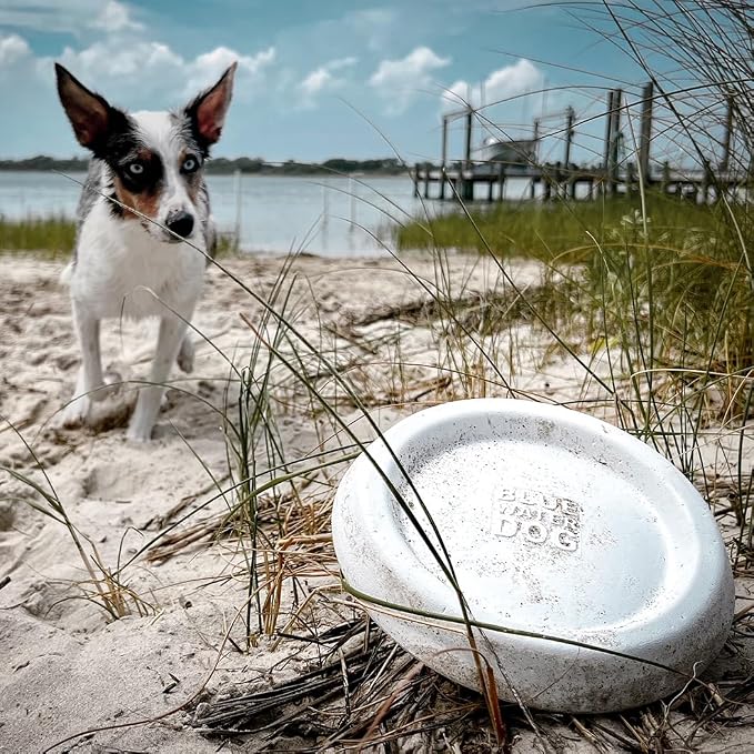 Flying Disc Soft Dog Toy, Floats in Water & Safe on Teeth - for Large Dogs