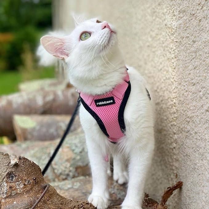 rabbitgoo Cat Harness and Leash Set, Escape Proof Vest, Pink | Soft Breathable Mesh, Easy Adjustable Fit, Snap Buckles, Sturdy Clip, Reflective Strips, for Average Cats Walks, S