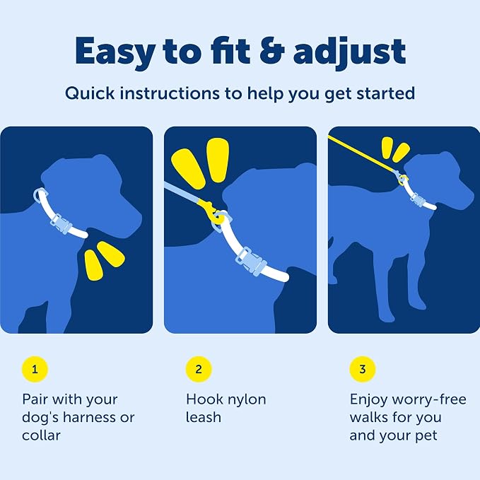 PetSafe Nylon Dog Leash - Strong, Durable, Traditional Style Leash with Easy to Use Bolt Snap - 3/8 in. x 6 ft., Royal Blue | Durable Nylon Leash with Easy on/off Bolt Snap Hook, Pairs Perfectly with Easy Walk Harness and Gentle Leader Headcollar