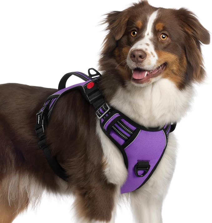 rabbitgoo Large Dog Harness, Easy Wear with 3 Buckles and Lift Handle | No Pull with Front Clip for Walking, Adjustable Soft Padded, Reflective, Easy Control, Purple, X-Large