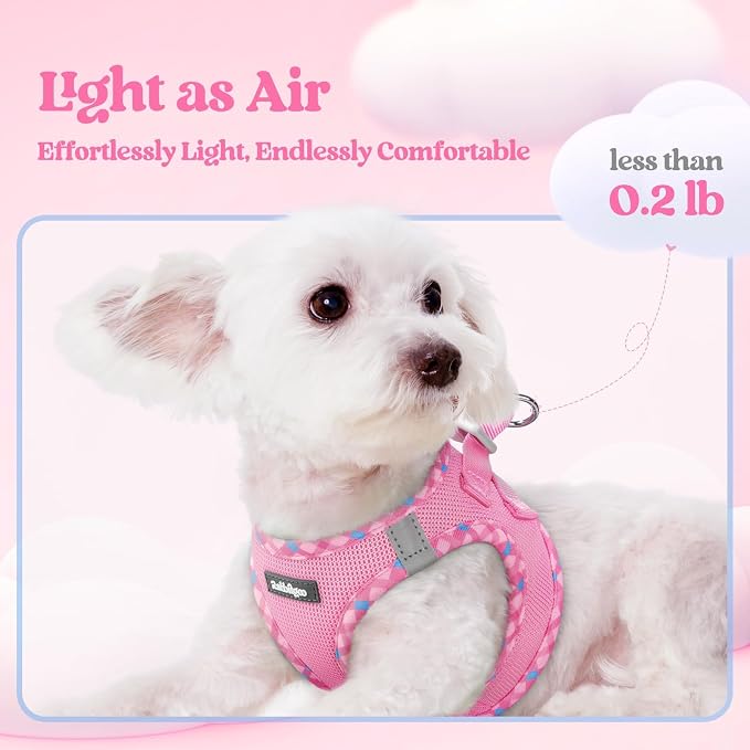 rabbitgoo Dog Harness Small Sized and Leash Set, Step-in Puppy Pet Vest | Light, Soft, Breathable Air Mesh, Easy on and Remove with Hook & Loop, Secure Reflective for Walking, Pink & Plaid Trim XXS