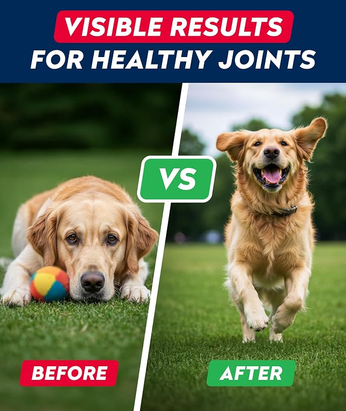 Glucosamine Treats for Dogs - Joint Supplement w/ Omega-3 Fish Oil - Chondroitin, MSM - Advanced Mobility Chews - Joint Pain Relief - Hip & Joint Care - Peanut Butter Flavor - 180 Ct - Made in USA