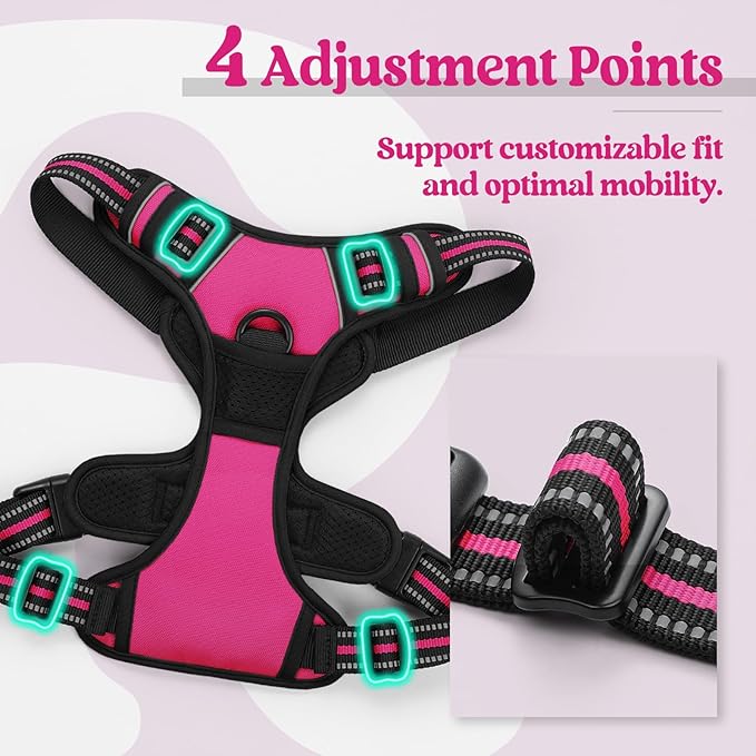 rabbitgoo Dog Harness, No Pull Medium Sized with 2 Leash Clips, Pet Vest | No Choke with Handle, Adjustable Soft Padded, Reflective, Easy Control for Walking, Hot Pink, Medium