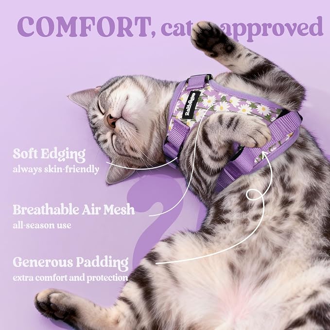 rabbitgoo Cat Harness and Leash Set, Escape Proof Vest, Purr-ple Daisy | Soft Breathable Mesh, Easy Adjustable Fit, Snap Buckles, Sturdy Clip, Reflective Strips, for Medium to Large Cats Walks, M