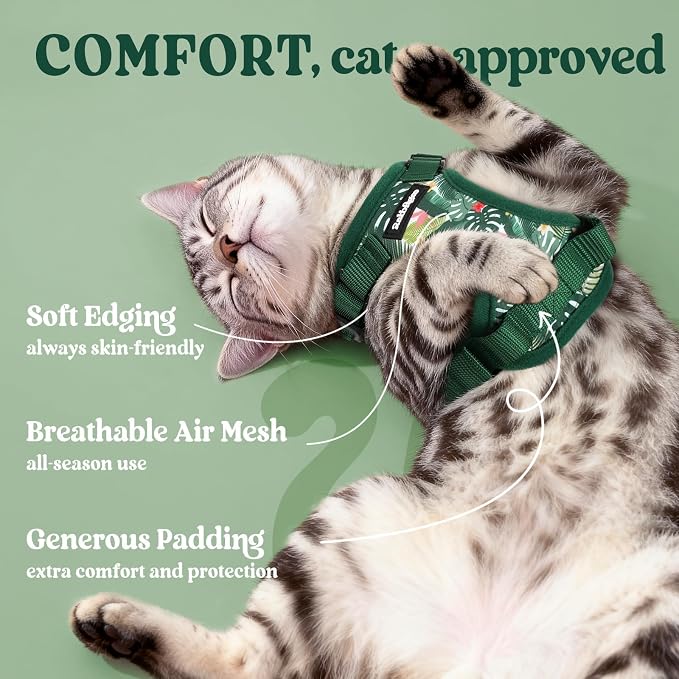 rabbitgoo Cat Harness and Leash Set, Escape Proof Vest, Rainforest Green | Soft Breathable Mesh, Easy Adjustable Fit, Snap Buckles, Sturdy Clip, Reflective Strips, for Medium to Large Cats Walks, M