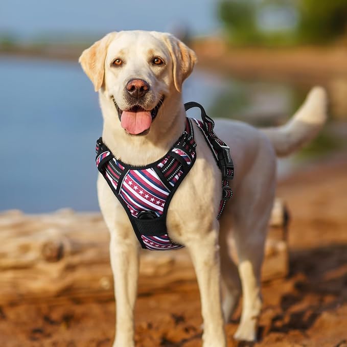 rabbitgoo Dog Harness, No Pull for Large Dogs with 2 Leash Clips, Pet Vest | No Choke with Handle, Adjustable Soft Padded, Reflective, Easy Control for Walking, Red Stripe, Large