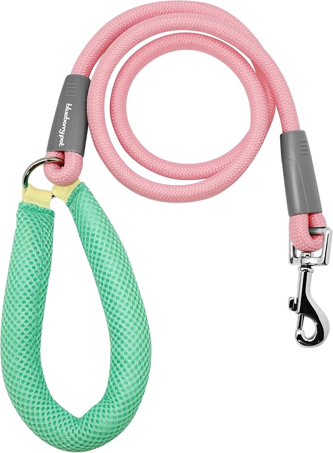Blueberry Pet Dog Leash 4ft - Vibrant Pink Rope Dog Leash with Coral/Mint Handle, Puppy Essentials for Small Dogs, Comfortable Padded Hold, Pink Leash for Fashionable Pet Owners
