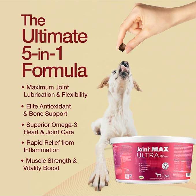 Ultra Advanced Hip & Joint Support for Dogs – All-in-One Soft Chews with Glucosamine, MSM, Omega-3s (EPA & DHA), Hyaluronic Acid & Boswellia – Maximum Strength Mobility & Comfort – 240 Chews