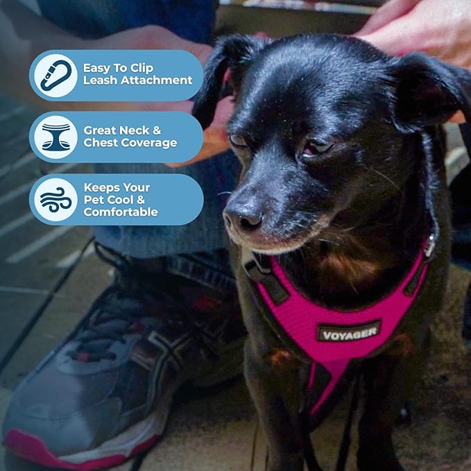 Voyager Step-in Lock Dog Harness - Fuchsia/Black Trim, Medium | 17 - 21" in Chest, Adjustable, Breathable Air Mesh, Lightweight for Daily Walks, Strong Clips, Heavy Duty D-Ring