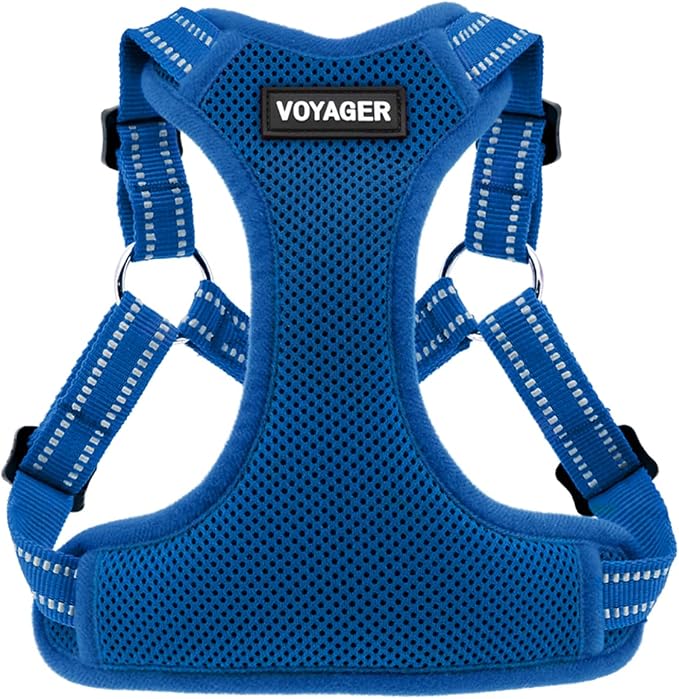 Voyager Step-in Flex Adjustable Dog Harness - Royal Blue, X-Large | 23 - 28" in Chest, Fully Adjustable, Reflective Bands, All Weather Breathable Air Mesh, Lightweight, Fast Drying