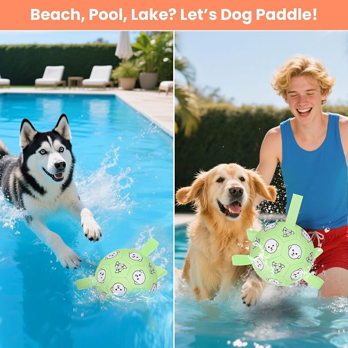 6in Dog Soccer Ball, Interactive, Floating