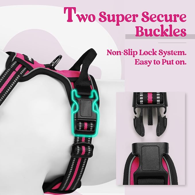 rabbitgoo Dog Harness, No Pull Medium Sized with 2 Leash Clips, Pet Vest | No Choke with Handle, Adjustable Soft Padded, Reflective, Easy Control for Walking, Hot Pink, Medium