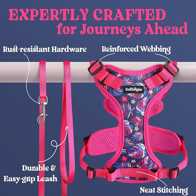 rabbitgoo Cat Harness and Leash Set, Escape Proof Vest, Coconut Fuchsia | Soft Breathable Mesh, Easy Adjustable Fit, Snap Buckles, Sturdy Clip, Reflective Strips, for Kittens & Small Cats Walks, Xxs