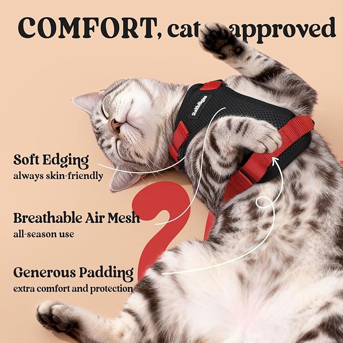rabbitgoo Cat Harness and Leash Set, Escape Proof Vest, Black & Red | Soft Breathable Mesh, Easy Adjustable Fit, Snap Buckles, Sturdy Clip, Reflective Strips, for Medium to Large Cats Walks, M