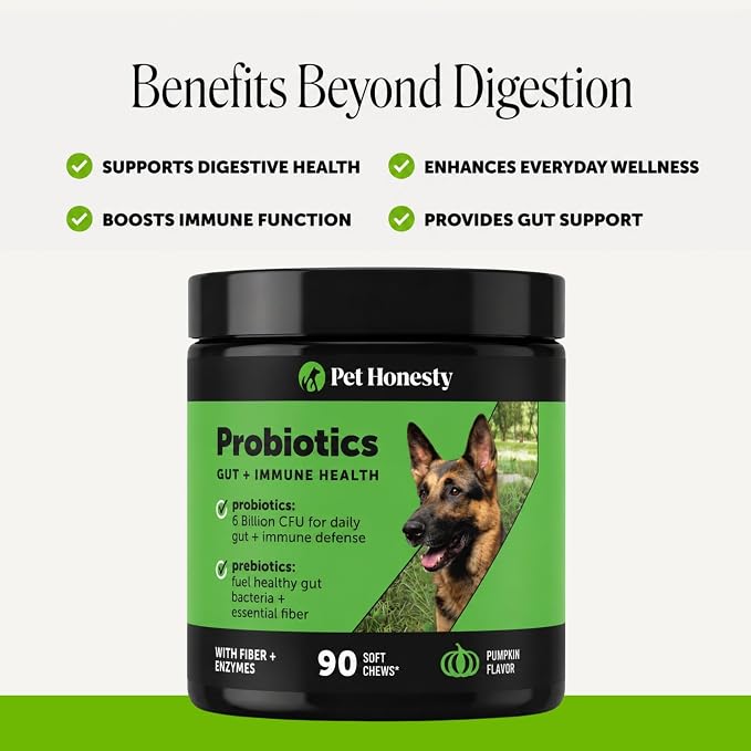 Pet Honesty Probiotic Chews for Dogs - Pumpkin, 90ct