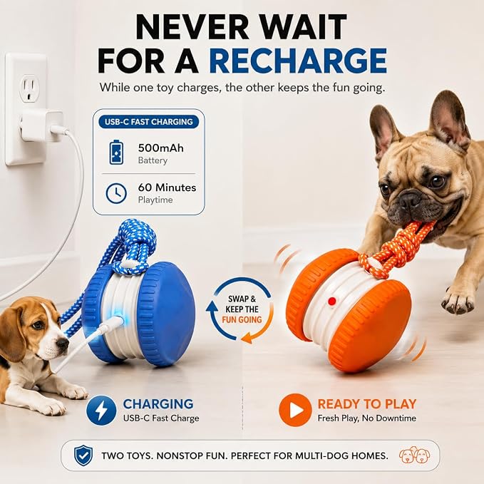 (2 Pack) Interactive Dog Toys for Small Dogs — Boredom Relief & Indoor Enrichment, Automatic Rolling Ball with Rope, Motion Activated Self Moving Dog Toy (Blue + Orange)