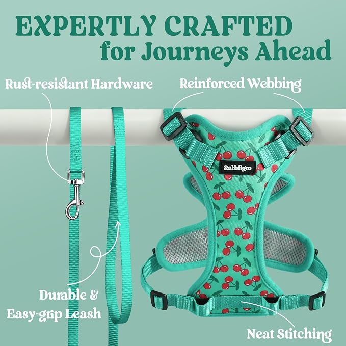 rabbitgoo Cat Harness and Leash Set, Escape Proof Vest, Cherry Grove | Soft Breathable Mesh, Easy Adjustable Fit, Snap Buckles, Sturdy Clip, Reflective Strips, for Medium to Large Cats Walks, M