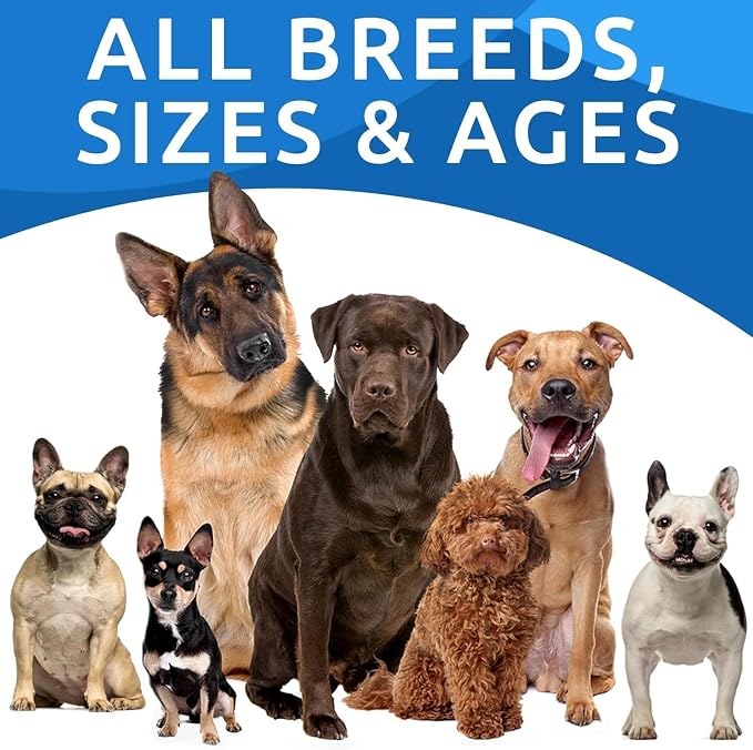 BARK&SPARK Dog Allergy Relief Soft Chews for Skin Health & Seasonal Allergies - Anti-Itch Supplement w/Omega-3, Quercetin & Bromelain Immune Treats for Dry Skin & Hot Spots - Chicken Liver - 180ct