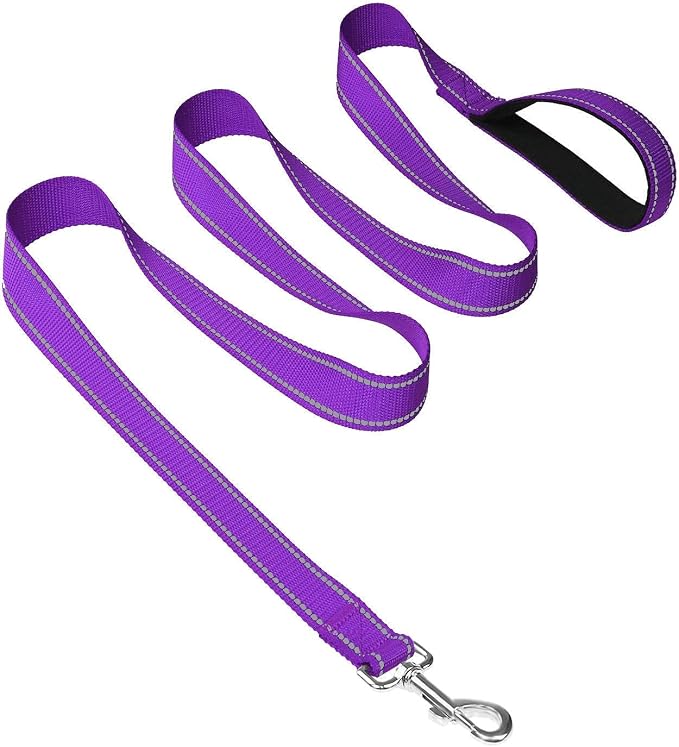 Joytale 12-16 inches Dog Collar and 6FT Leash, Reflective Soft Neoprene Padded Pet Collars and Leashes for Small Dog