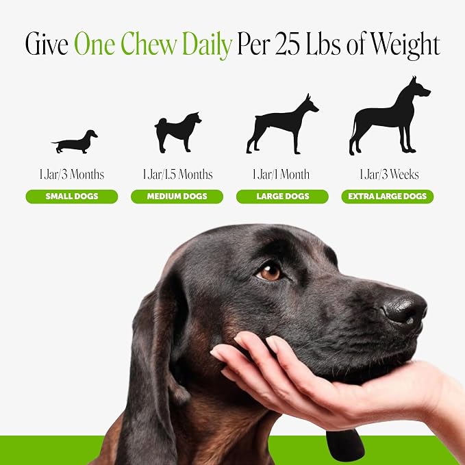 Pet Honesty Probiotic Chews for Dogs - Pumpkin, 90ct