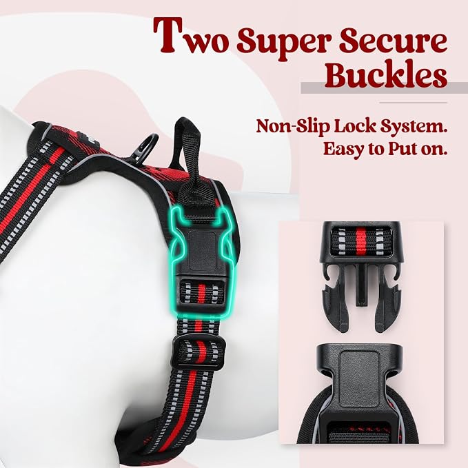 rabbitgoo Dog Harness, No Pull for Large Dogs with 2 Leash Clips, Pet Vest | No Choke with Handle, Adjustable Soft Padded, Reflective, Easy Control for Walking, Red Plaid, Small