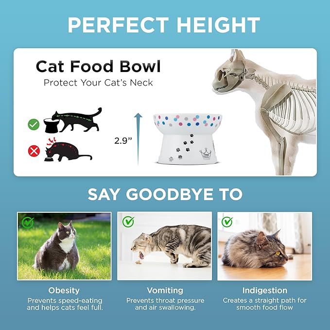 Necoichi Raised Cat Food Bowl – Ceramic Elevated Cat Bowl for Whisker & Neck Fatigue, Dishwasher Microwave Safe – Non-Slip & Anti Vomiting Ergonomic Design (Colorful Dots, Regular, 1 Cup Capacity)