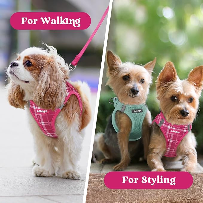 rabbitgoo Step-in Small Dog Harness, Puppy Vest for Small Sized Pet | Easy Put on and off, Lightweight, Soft, Breathable Quick-Dry Air Mesh for Comfortable Secure Walking, Rose Red Plaid S