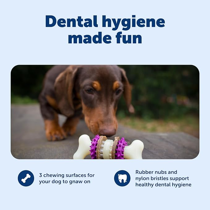 PetSafe Busy Buddy Bristle Bone, Large, Helps Keep Your Dog's Teeth Clean, Long-Lasting Playtime | Toothbrush-In-A-Toy Design Helps Clean Teeth While Dog Chews, Holds Treat Rings, Durable, Interactive Play, for Dogs 50-90 Lb