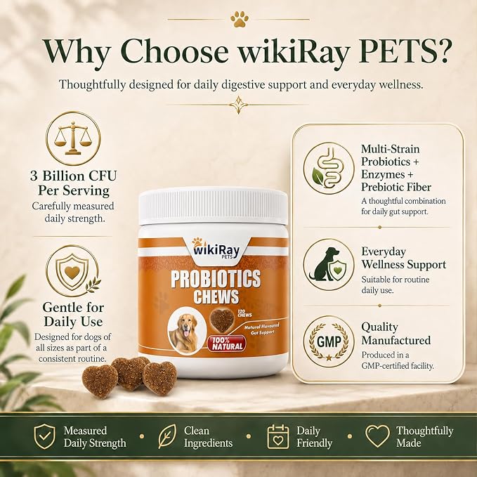 wikiRay Probiotics for Dogs – Soft Chews for Digestive Health & Immunity | 120 Chews | 3 Billion CFU, Pumpkin, Enzymes, Vitamins & Prebiotics | Made with Natural Ingredients