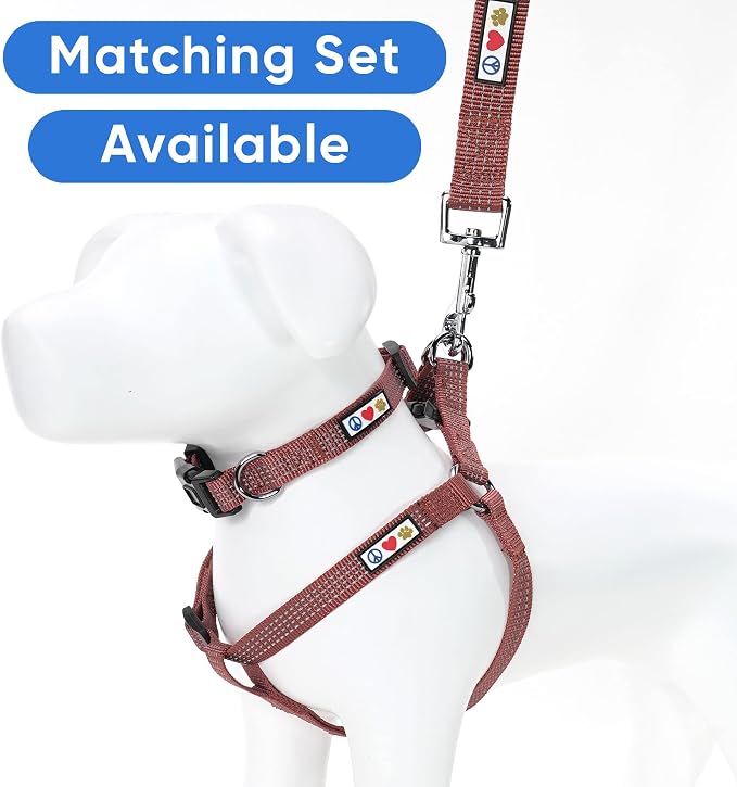 Pawtitas Marsala Brown Dog Leash 6 ft XS/S Reflective Durable Lightweight Dog Lead for Small Dogs and Puppies