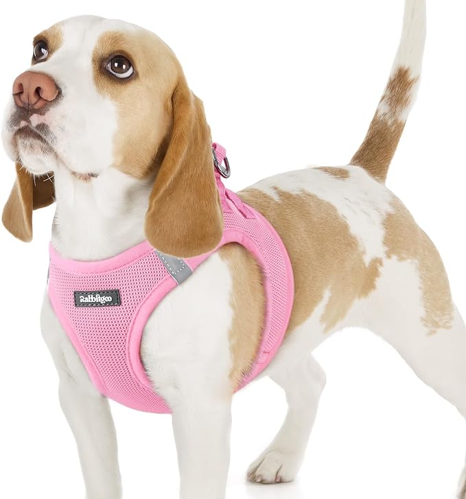 rabbitgoo Step-in Small Dog Harness, Puppy Vest for Small Sized Pet | Easy Put on and off, Lightweight, Soft, Breathable Quick-Dry Air Mesh for Comfortable Secure Walking, Light Pink M