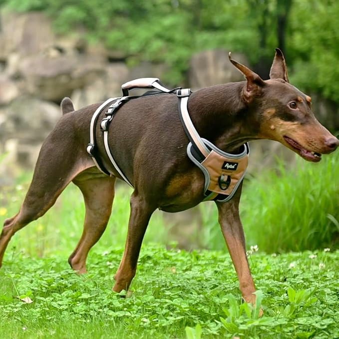 PUPTECK Escape Proof Dog Harness with Padded Handle, No Pull Pet Vest Harness Durable Reflective for Medium Large Dogs Walking Training and Running, Moccasin, M