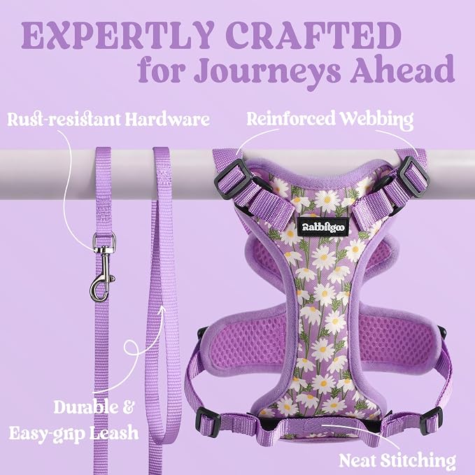 rabbitgoo Cat Harness and Leash Set, Escape Proof Vest, Purr-ple Daisy | Soft Breathable Mesh, Easy Adjustable Fit, Snap Buckles, Sturdy Clip, Reflective Strips, for Medium to Large Cats Walks, M