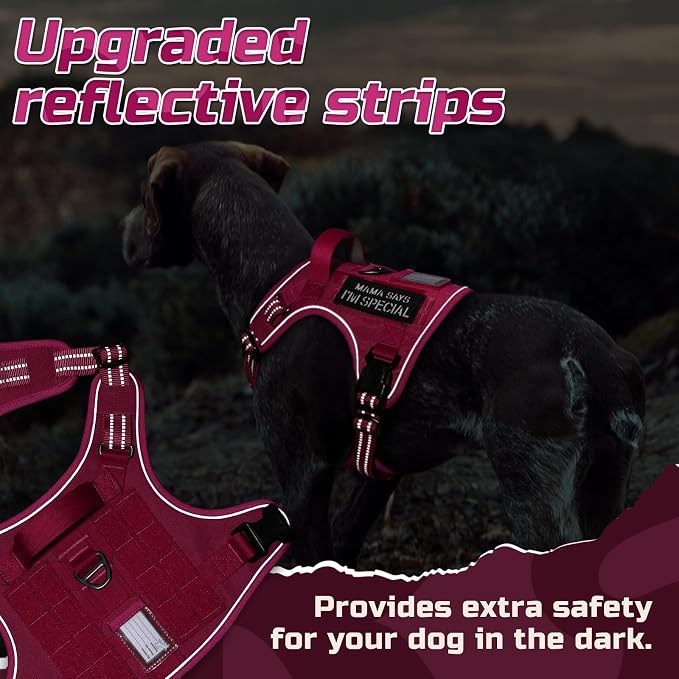 rabbitgoo Tactical Dog Harness for Medium, No Pull Military Service Vest | Molle & Handle, Heavy Duty, Adjustable, Reflective Straps, Easy Control for Training Walking, Rose Red, Medium